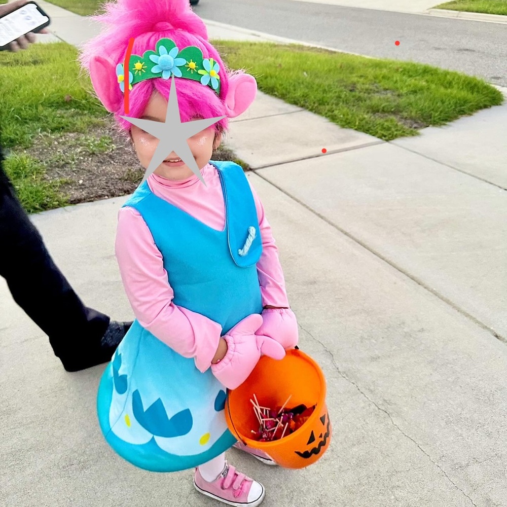 Chasing Fireflies Trolls Poppy Costume